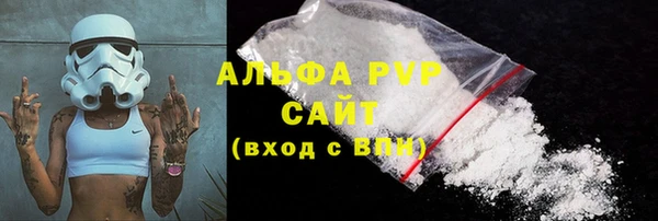 PSILOCYBIN Баксан