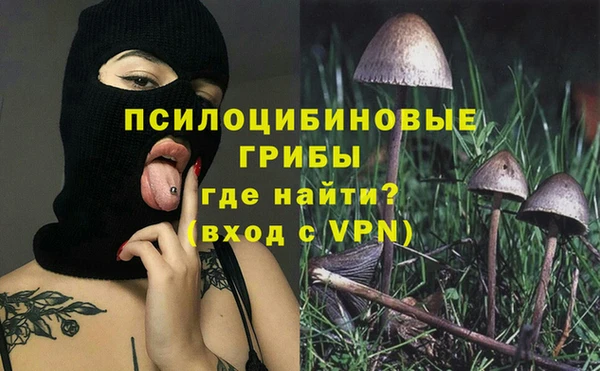 прущая мука Армянск