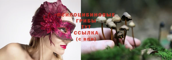 PSILOCYBIN Баксан