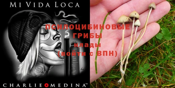первитин Балабаново